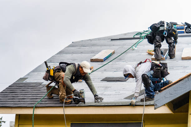 Professional Storm Damage Roof Repair technician working in Lagrange, WY